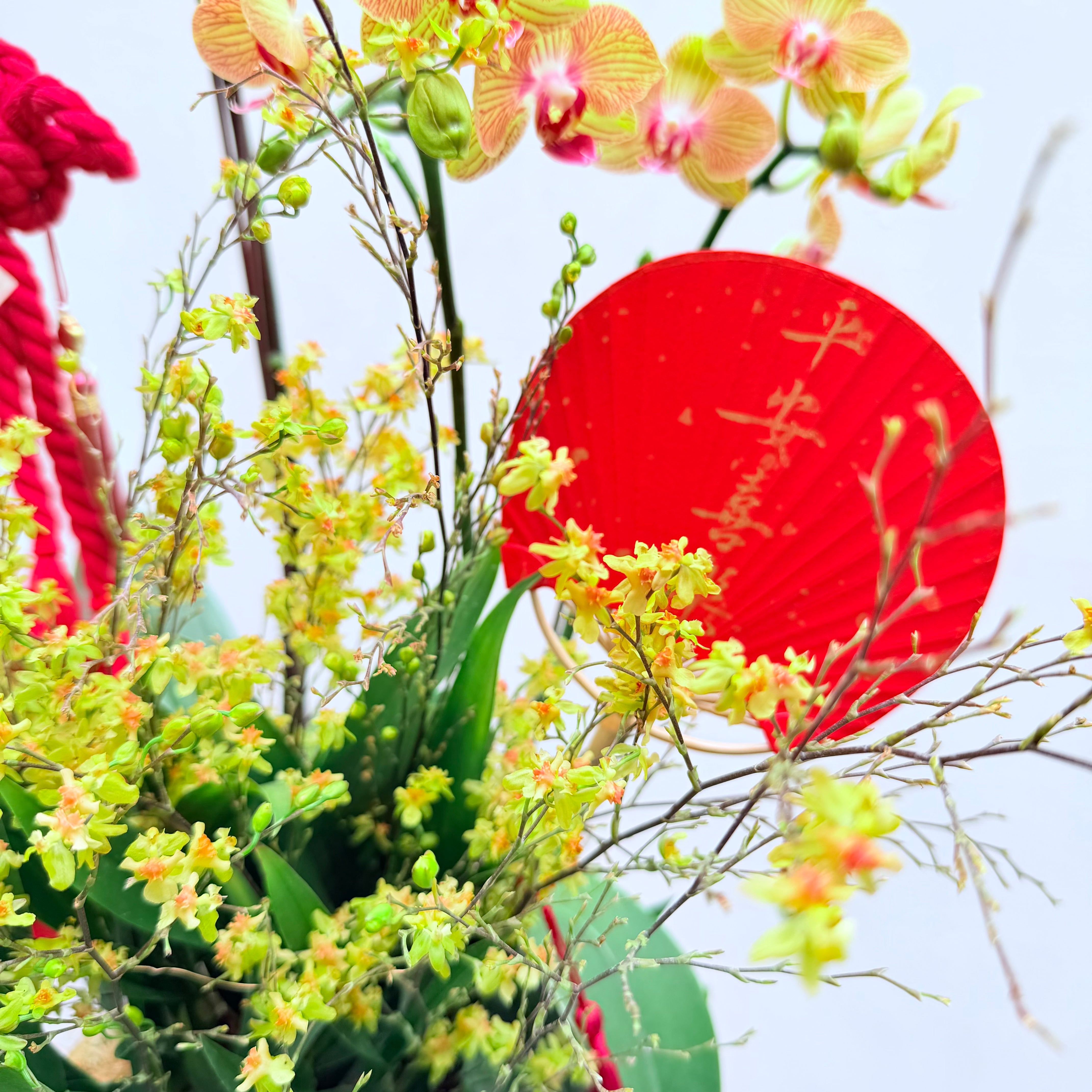 Golden Harvest 黄金满地