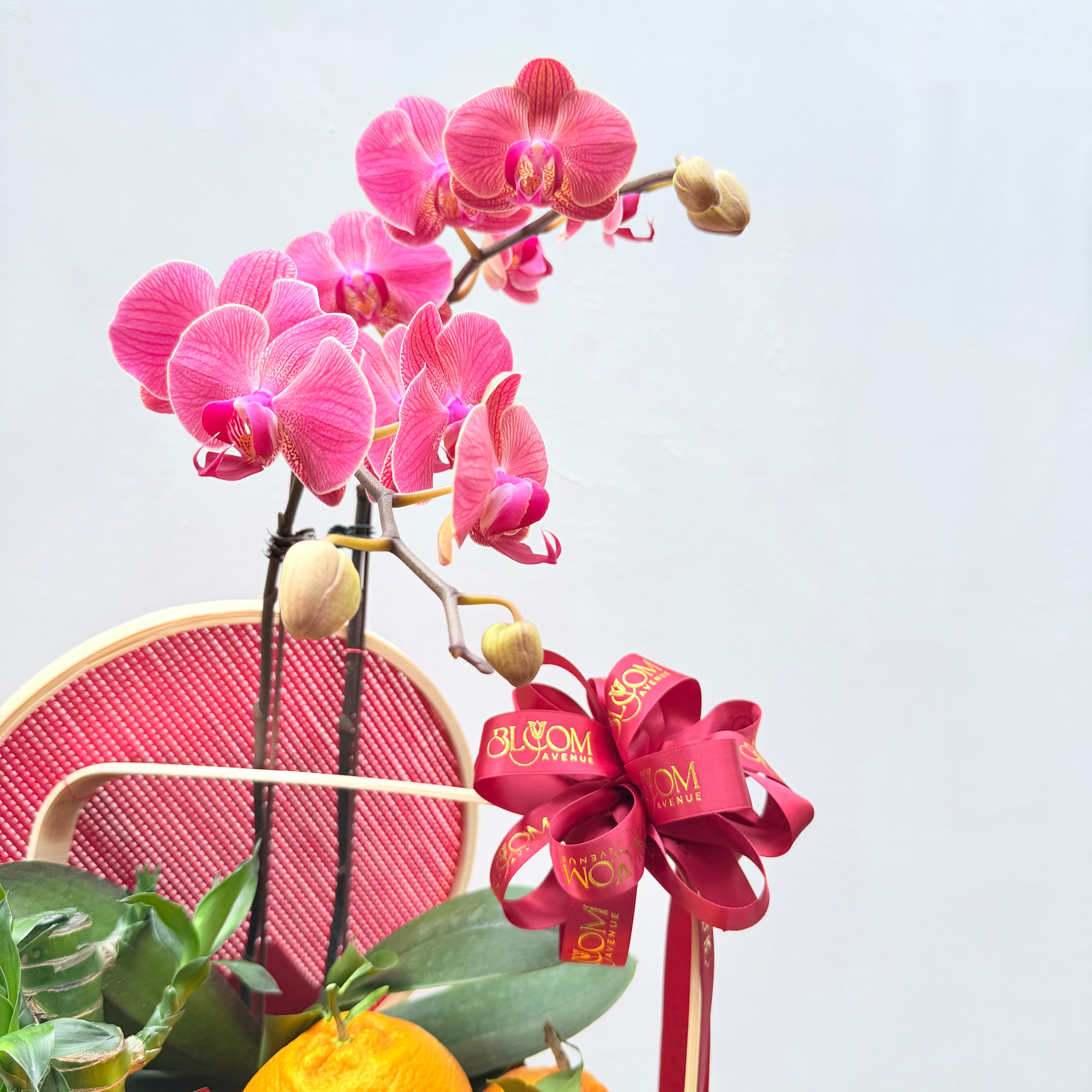 Abundant Luck 大吉大利