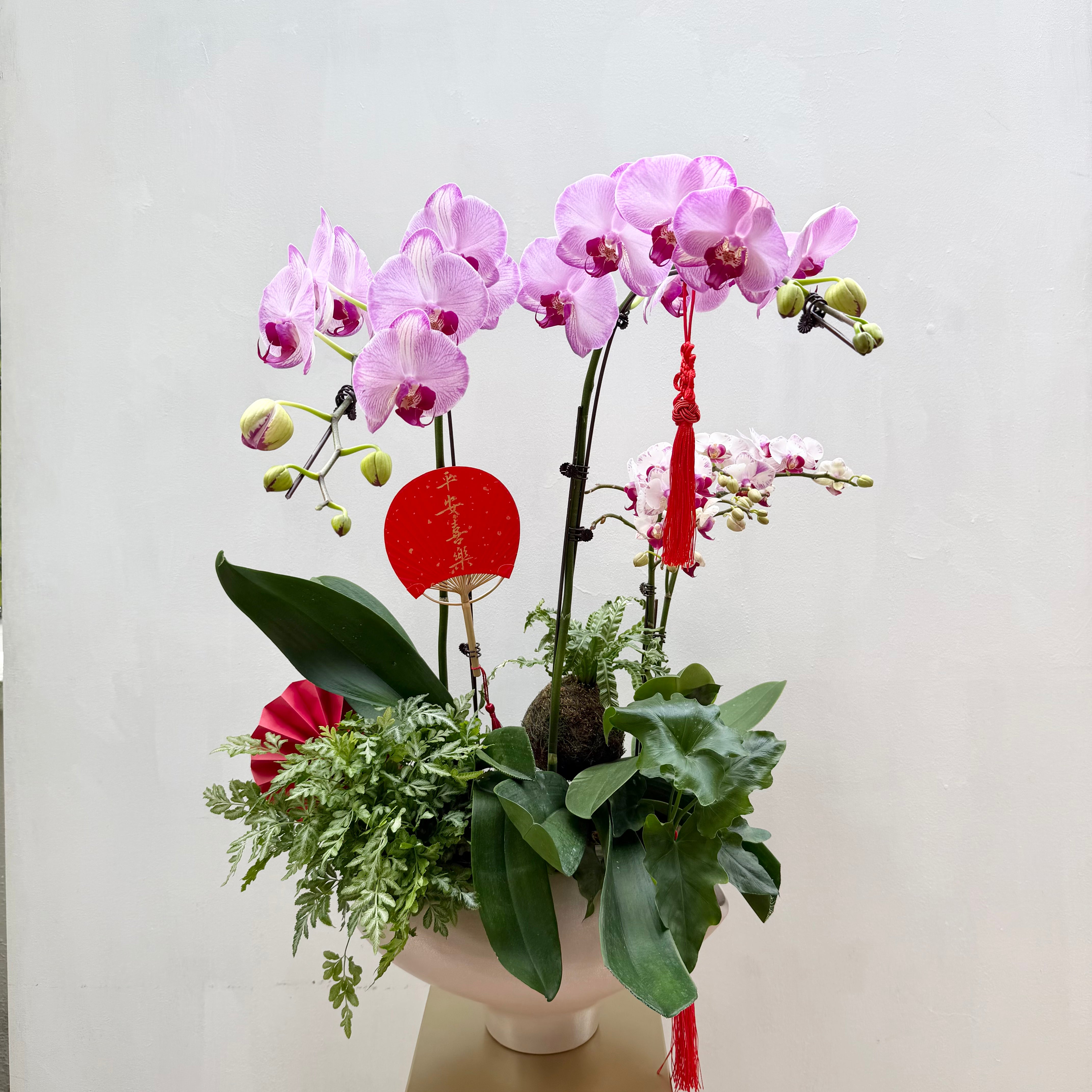 Blissful Spring 春暖花开