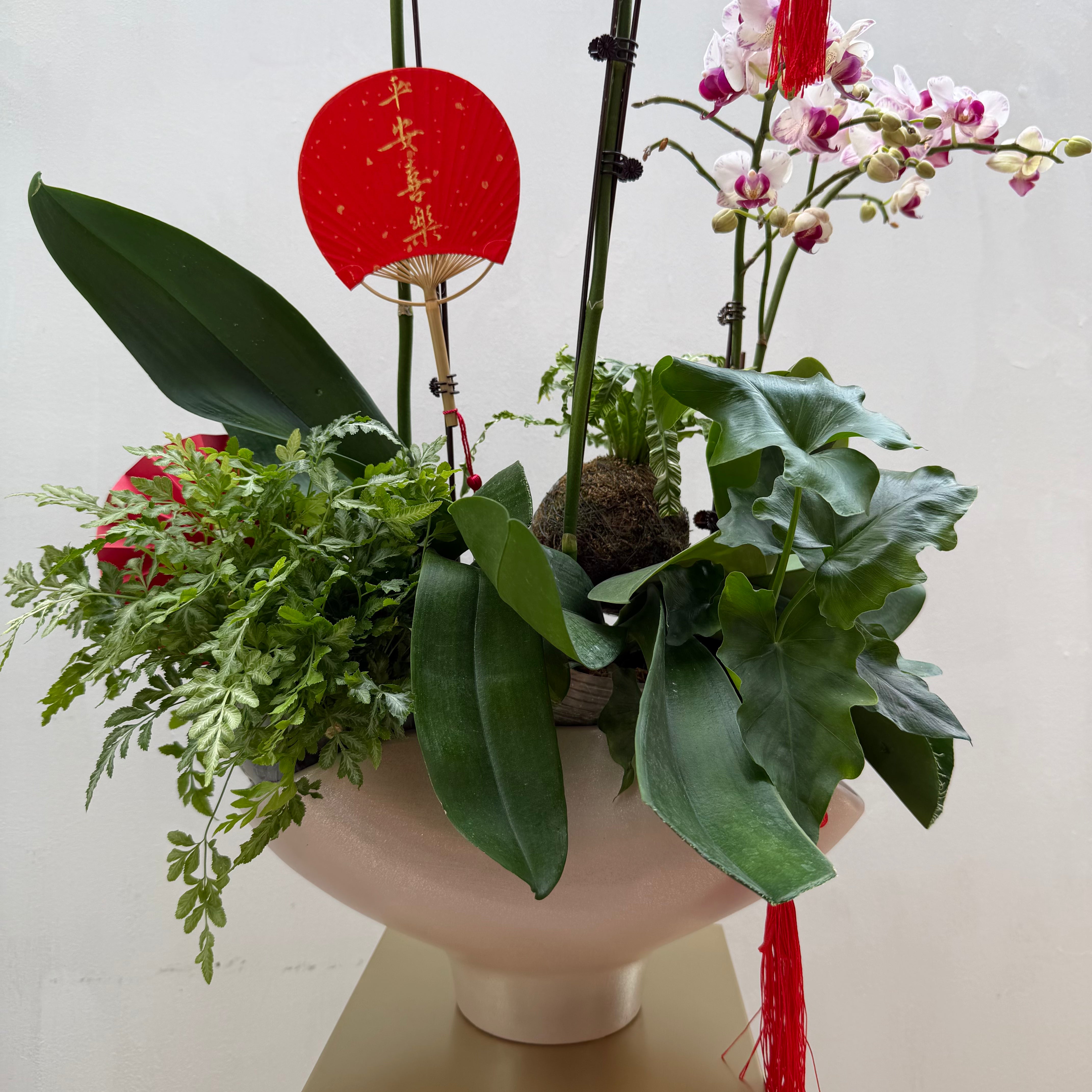 Blissful Spring 春暖花开