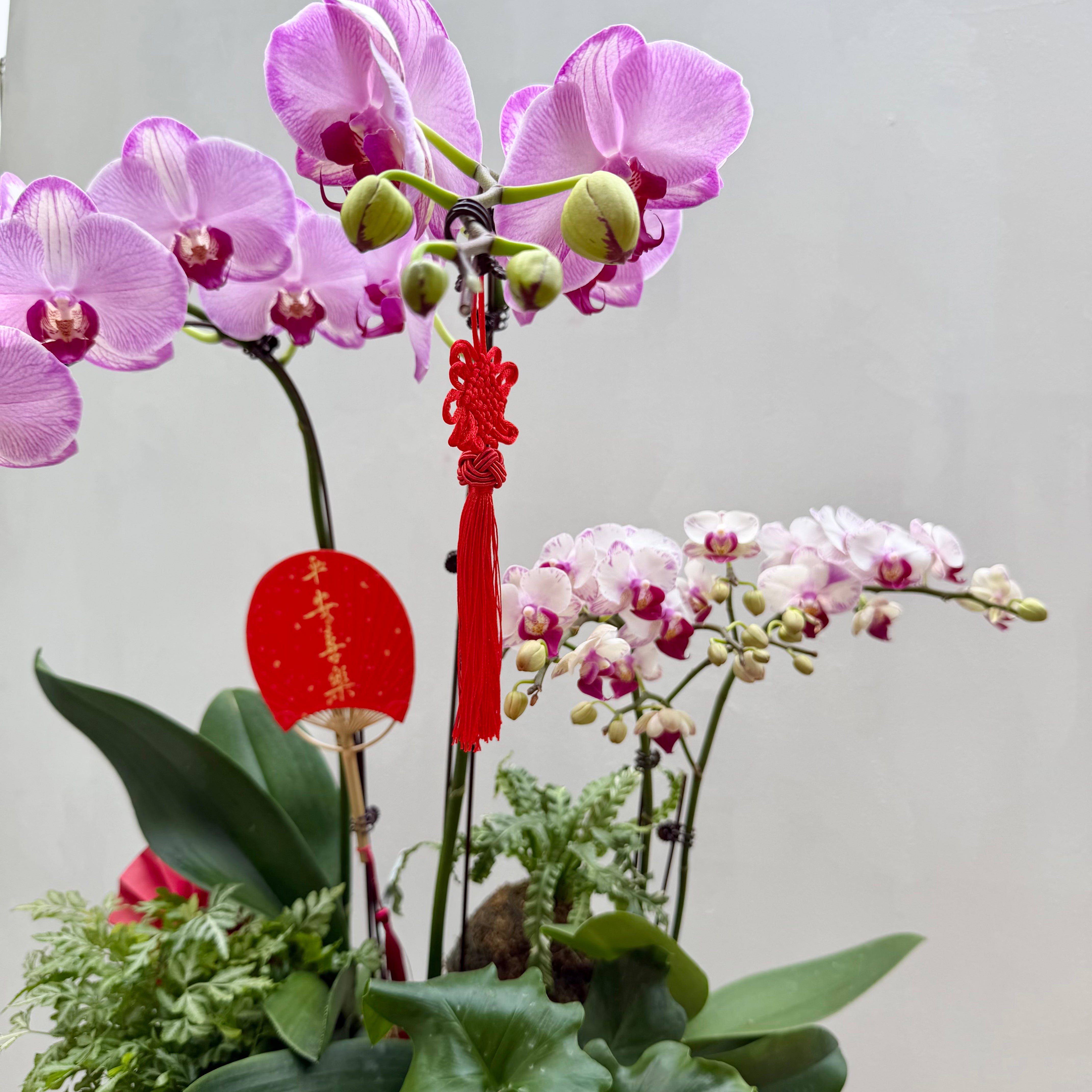 Blissful Spring 春暖花开