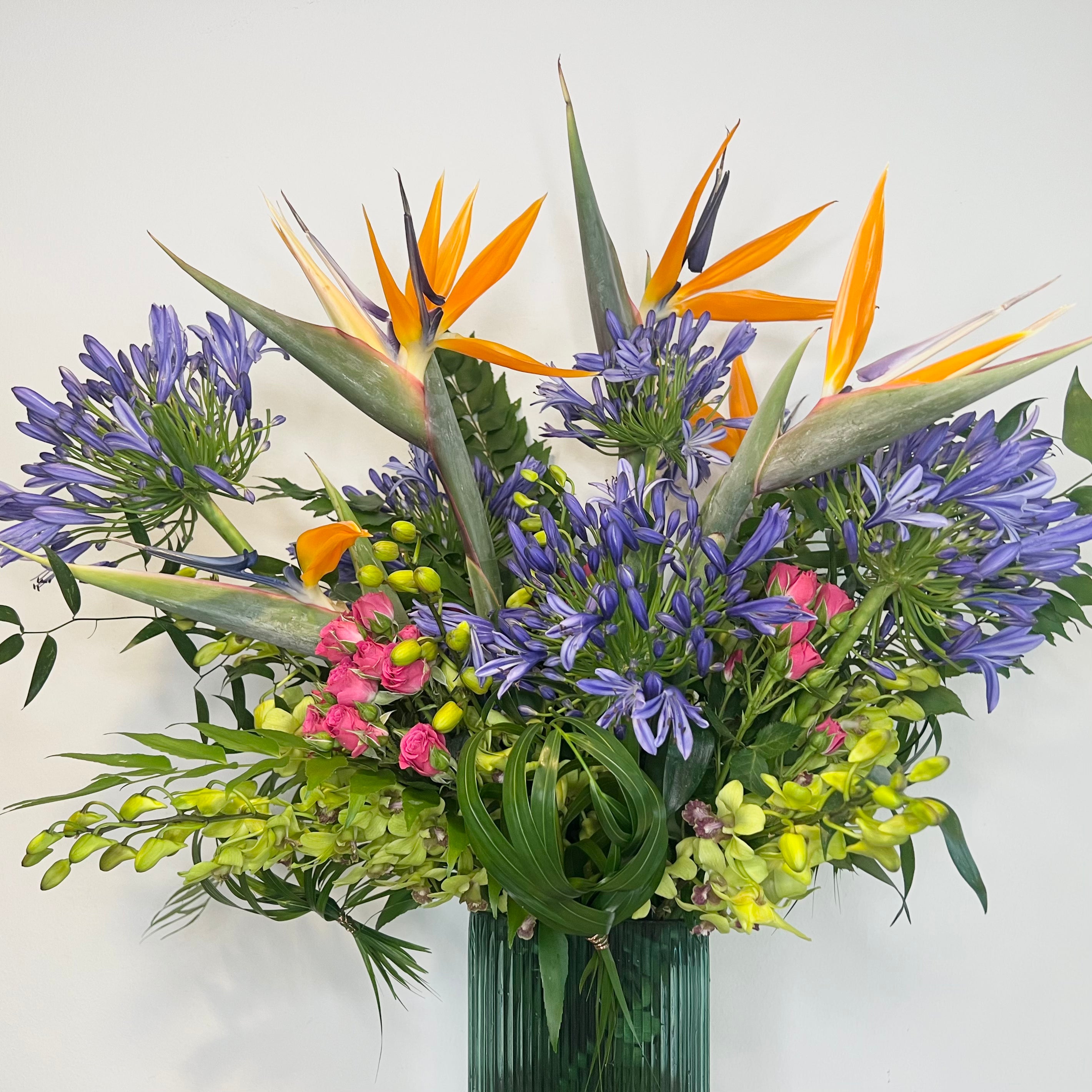 Weekly Subscriptions - Petite