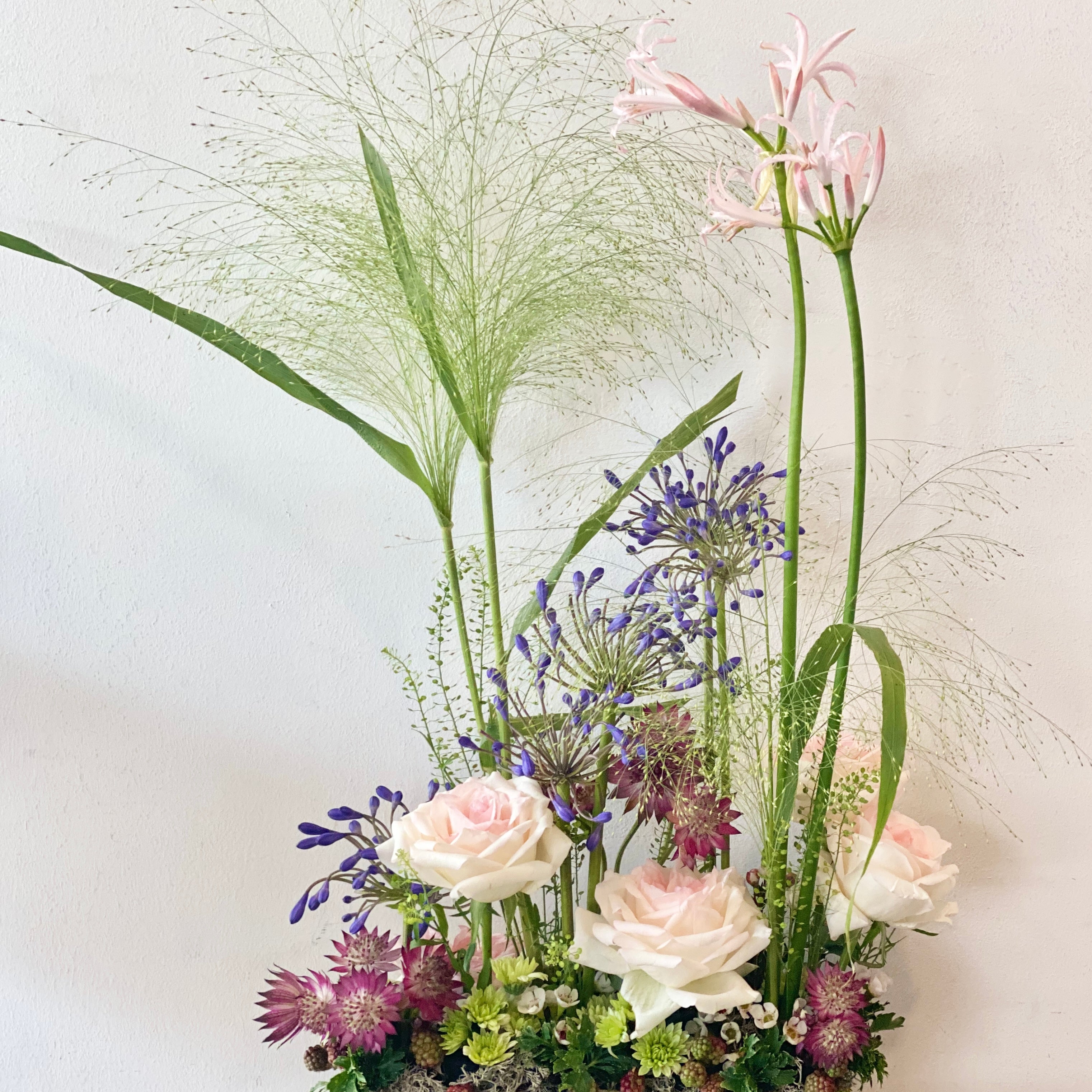 Weekly Subscriptions - Petite