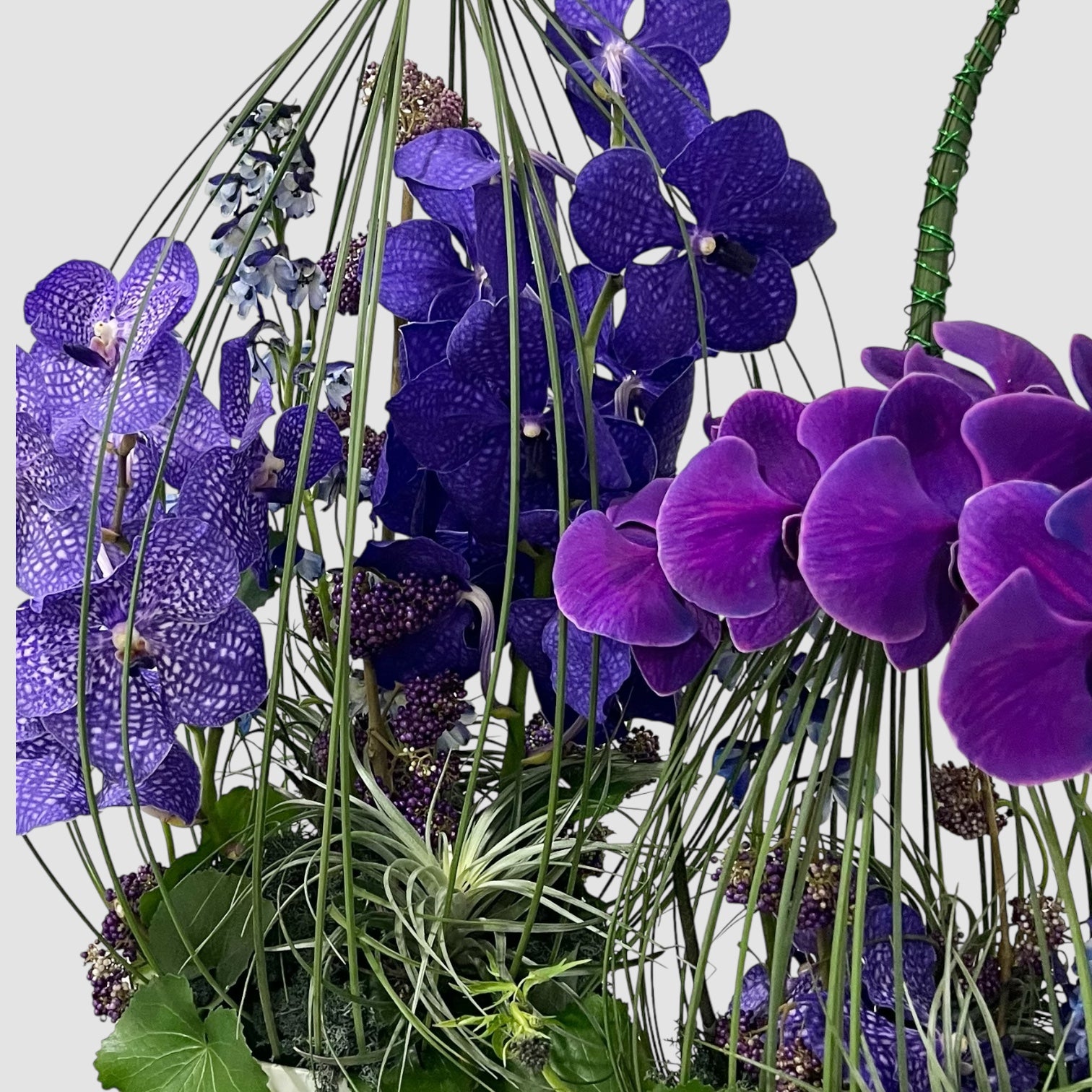 Weekly Subscription - Grande