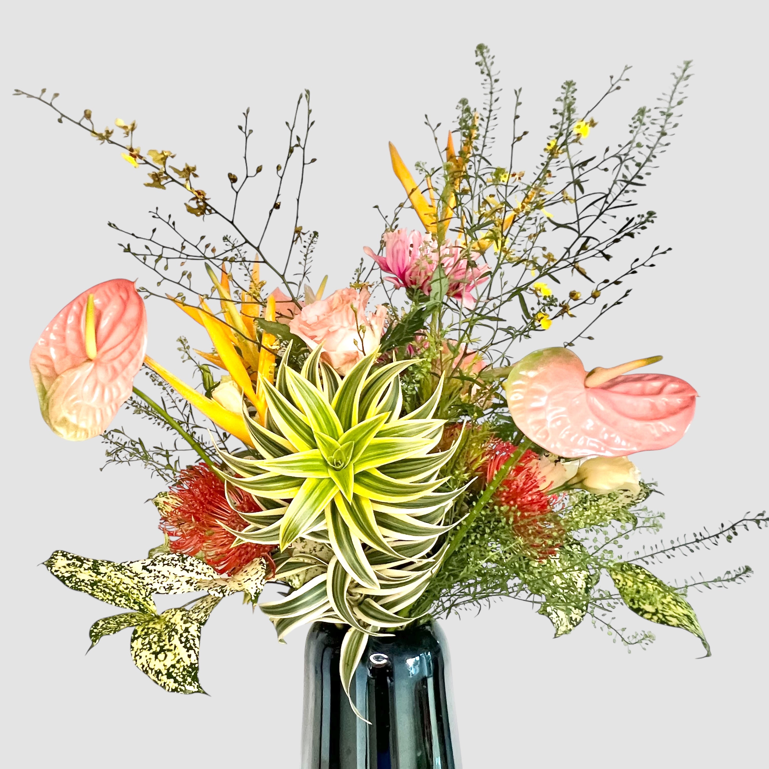 Weekly Subscriptions - Petite